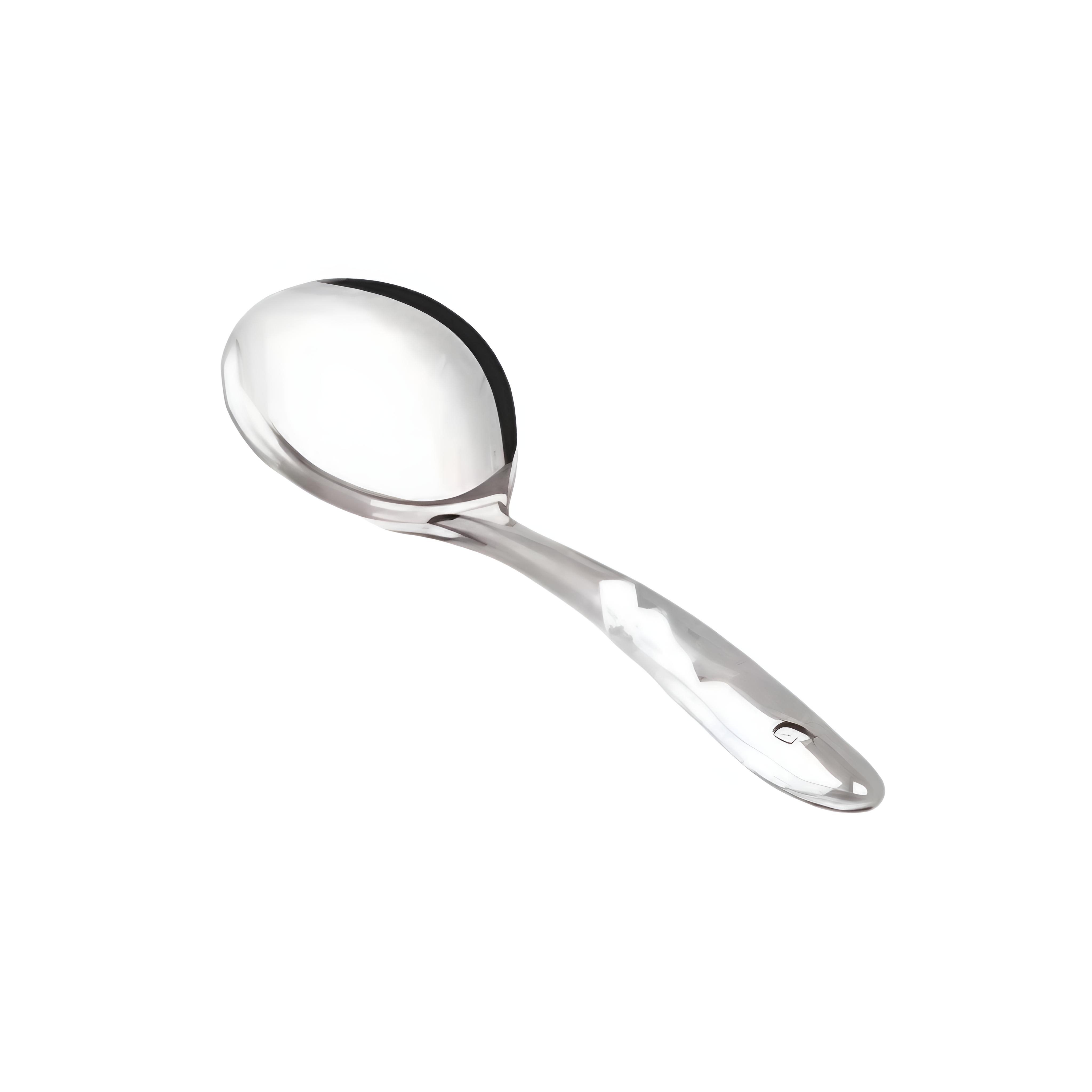 STAINLESS STEEL SPOON 